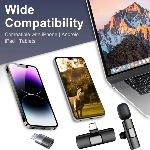 Mini Wireless Microphone Duo