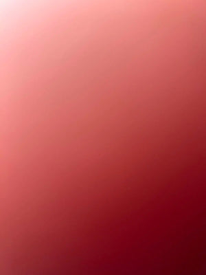 A68f3871818d445f3816c040a38e99b9cl.jpg